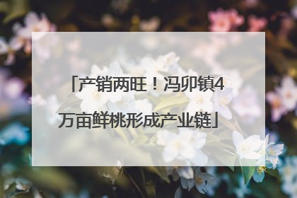 产销两旺！冯卯镇4万亩鲜桃形成产业链