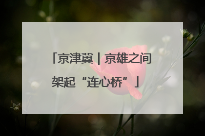 京津冀｜京雄之间架起“连心桥”