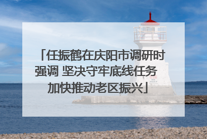 任振鹤在庆阳市调研时强调 坚决守牢底线任务 加快推动老区振兴