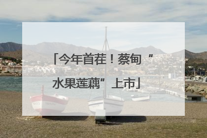 今年首茬！蔡甸“水果莲藕”上市