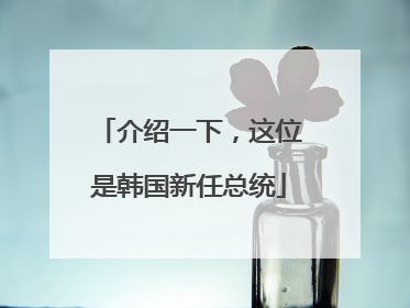 介绍一下，这位是韩国新任总统