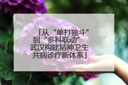 从“单打独斗”到“多科联动” 武汉构建精神卫生共病诊疗新体系