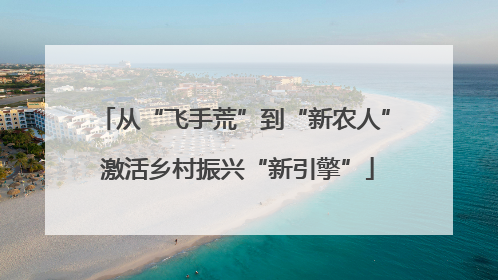 从“飞手荒”到“新农人” 激活乡村振兴“新引擎”
