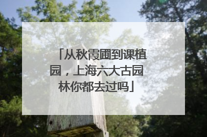 从秋霞圃到课植园，上海六大古园林你都去过吗