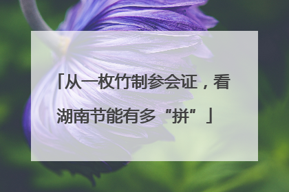 从一枚竹制参会证，看湖南节能有多“拼”