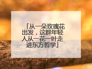 从一朵玫瑰花出发，这群年轻人从一花一叶走进东方哲学
