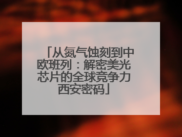 从氮气蚀刻到中欧班列：解密美光芯片的全球竞争力西安密码