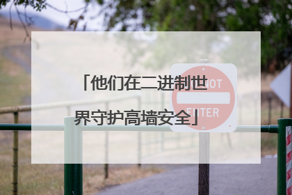 他们在二进制世界守护高墙安全