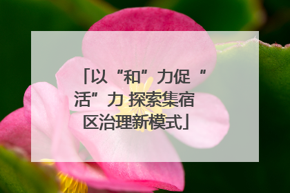 以“和”力促“活”力 探索集宿区治理新模式