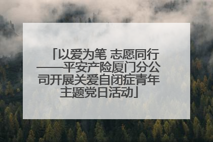 以爱为笔 志愿同行——平安产险厦门分公司开展关爱自闭症青年主题党日活动