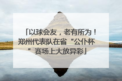 以球会友，老有所为！郑州代表队在省“公仆杯”赛场上大放异彩