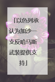 以色列承认为加沙一支反哈马斯武装提供支持