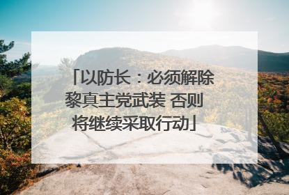 以防长：必须解除黎真主党武装 否则将继续采取行动