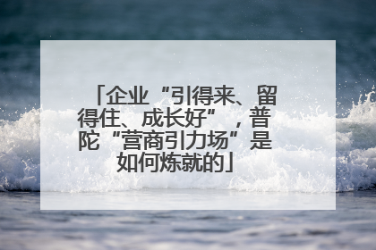 企业“引得来、留得住、成长好”，普陀“营商引力场”是如何炼就的