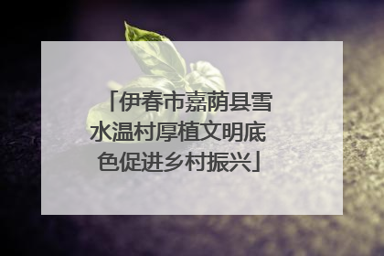伊春市嘉荫县雪水温村厚植文明底色促进乡村振兴