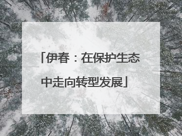 伊春：在保护生态中走向转型发展