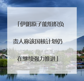 伊朗原子能组织负责人称该国核计划仍在继续强力推进