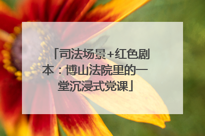 司法场景+红色剧本：博山法院里的一堂沉浸式党课