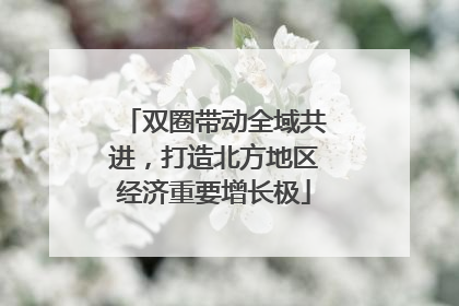 双圈带动全域共进，打造北方地区经济重要增长极