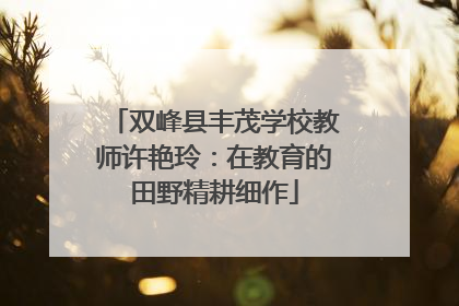 双峰县丰茂学校教师许艳玲：在教育的田野精耕细作