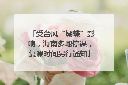 受台风“蝴蝶”影响，海南多地停课，复课时间另行通知
