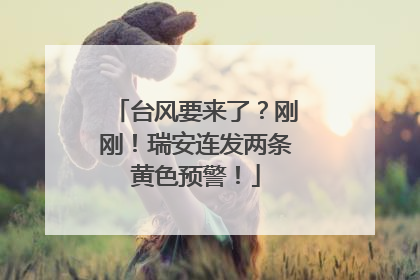 台风要来了？刚刚！瑞安连发两条黄色预警！