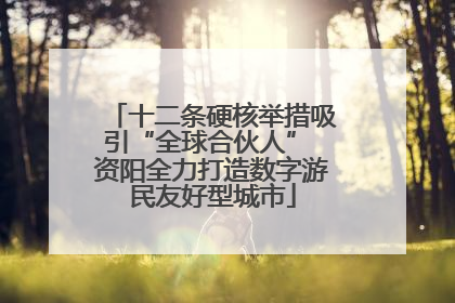 十二条硬核举措吸引“全球合伙人” 资阳全力打造数字游民友好型城市