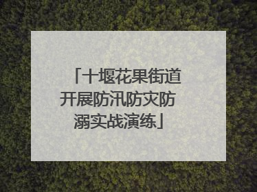 十堰花果街道开展防汛防灾防溺实战演练