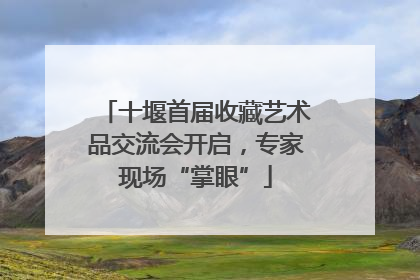 十堰首届收藏艺术品交流会开启，专家现场“掌眼”