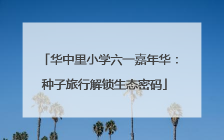 华中里小学六一嘉年华：种子旅行解锁生态密码
