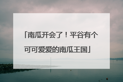 南瓜开会了！平谷有个可可爱爱的南瓜王国