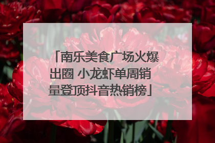 南乐美食广场火爆出圈 小龙虾单周销量登顶抖音热销榜