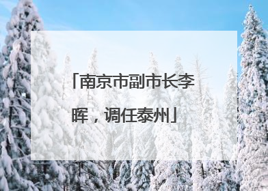 南京市副市长李晖，调任泰州