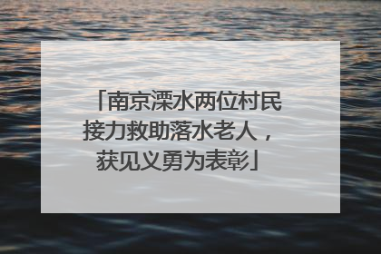 南京溧水两位村民接力救助落水老人，获见义勇为表彰