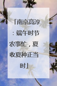 南京高淳：端午时节农事忙，夏收夏种正当时