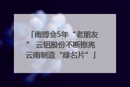 南博会5年“老朋友” 云铝股份不断擦亮云南制造“绿名片”