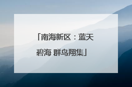 南海新区：蓝天碧海 群鸟翔集
