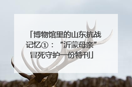 博物馆里的山东抗战记忆①：“沂蒙母亲”冒死守护一份特刊