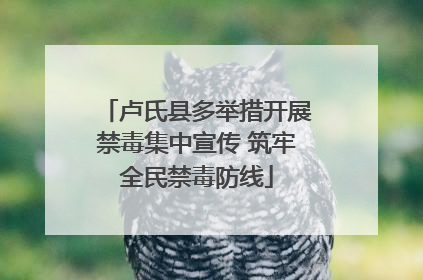 卢氏县多举措开展禁毒集中宣传 筑牢全民禁毒防线