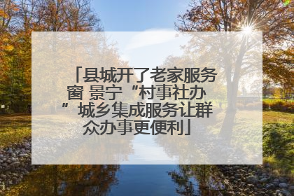 县城开了老家服务窗 景宁“村事社办”城乡集成服务让群众办事更便利
