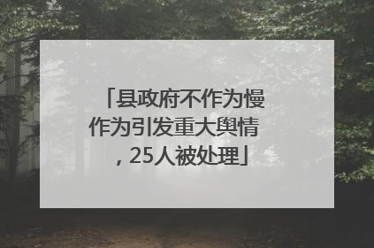 县政府不作为慢作为引发重大舆情，25人被处理
