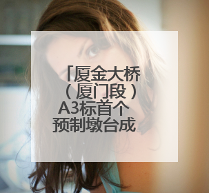 厦金大桥（厦门段）A3标首个预制墩台成功吊装