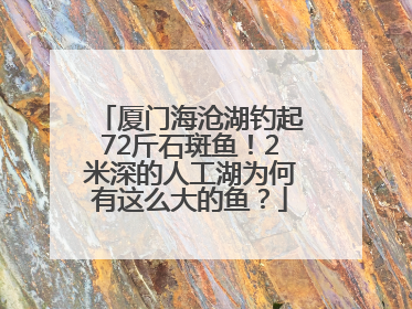 厦门海沧湖钓起72斤石斑鱼！2米深的人工湖为何有这么大的鱼？