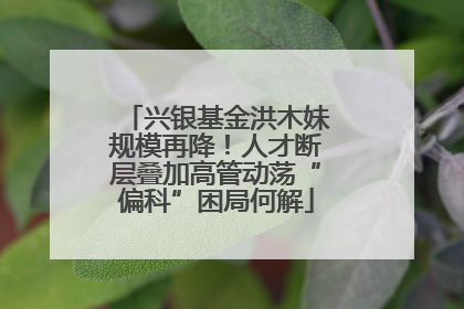 兴银基金洪木妹规模再降！人才断层叠加高管动荡“偏科”困局何解