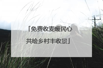 免费收麦暖民心 共绘乡村丰收景