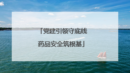 党建引领守底线 药品安全筑根基