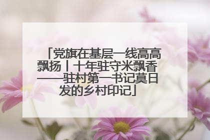 党旗在基层一线高高飘扬丨十年驻守米飘香——驻村第一书记莫日发的乡村印记