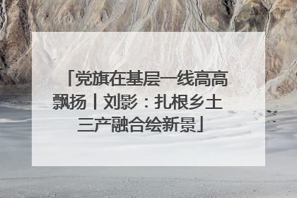 党旗在基层一线高高飘扬丨刘影：扎根乡土 三产融合绘新景