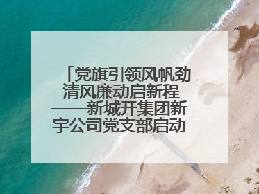 党旗引领风帆劲 清风廉动启新程——新城开集团新宇公司党支部启动“清风廉动党旗红”系列活动