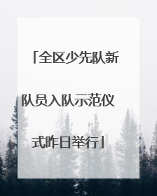 全区少先队新队员入队示范仪式昨日举行